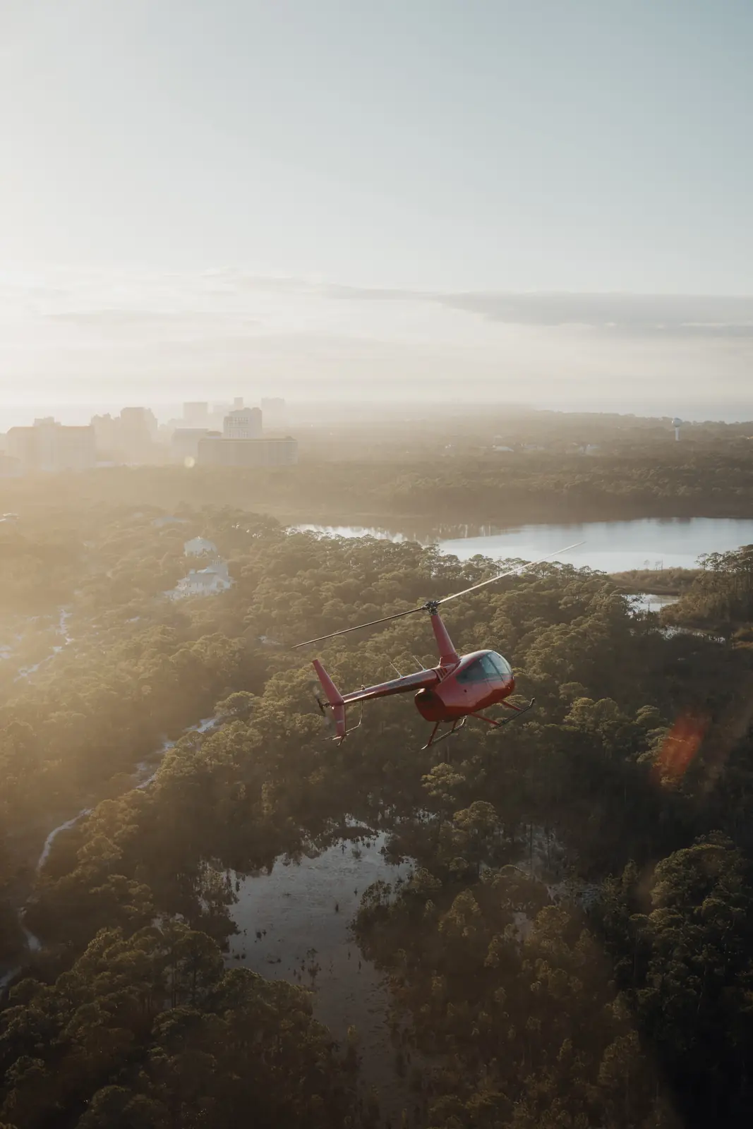 Aerial of coastal forest and water at golden hour