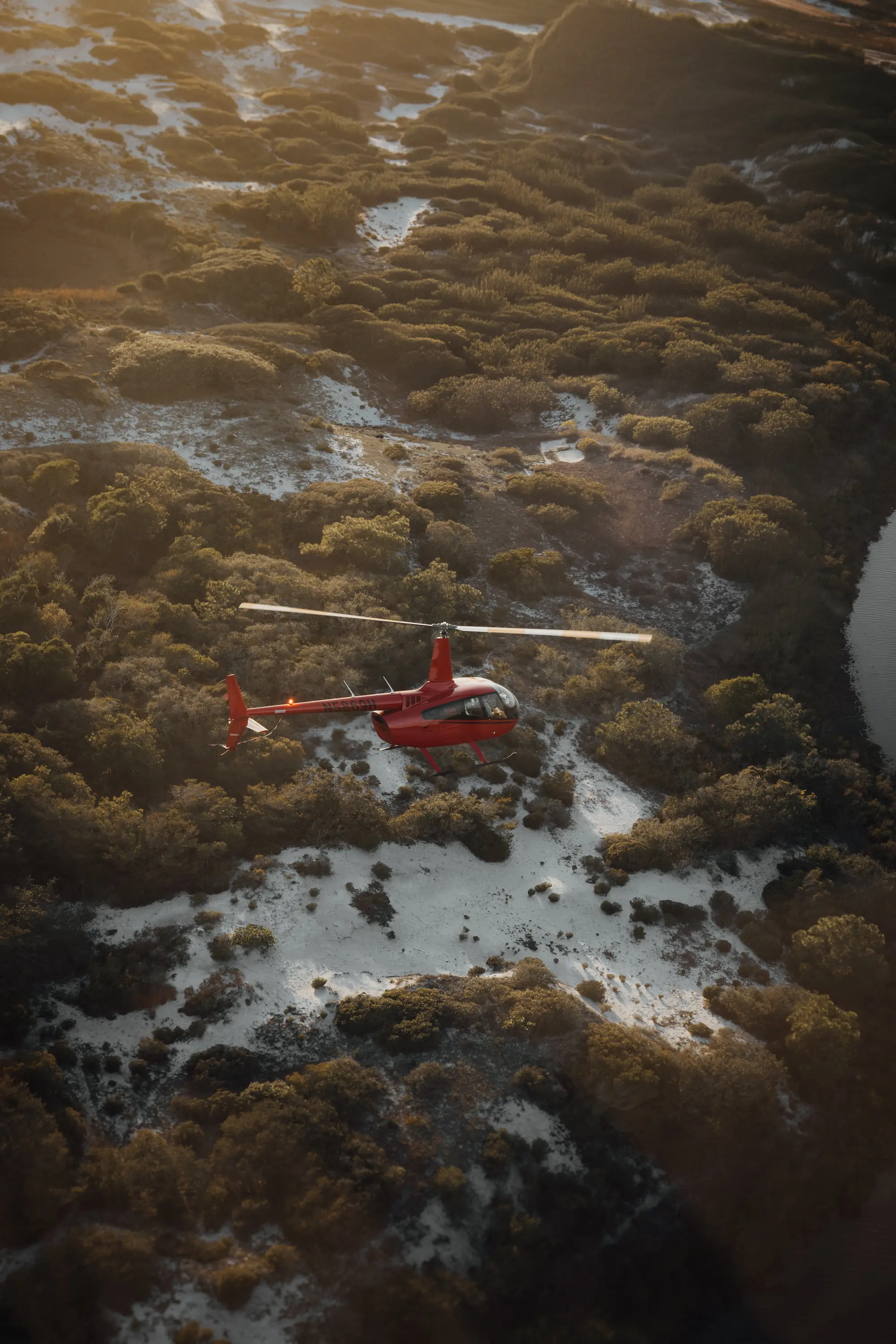 Aerial of dunes and coastal scrub